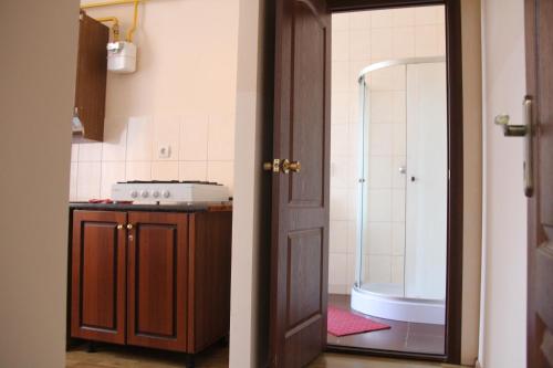 a bathroom with a shower and a sink and a tub at Apartments Domovik ,Kirilla i Mefodiya, 5 in Mukacheve
