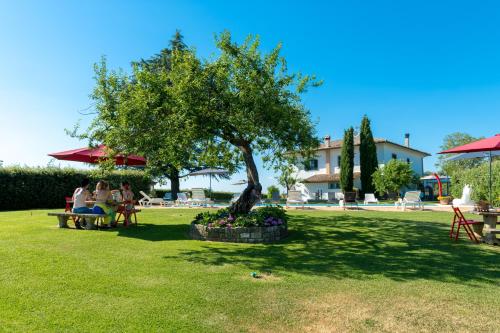 Il Raggio di Sole – Photos 3