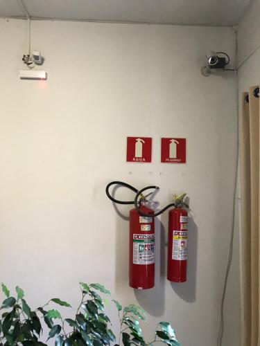 two fire extinguishers hanging on a wall with a plant at Edifício Río Mar in Foz do Iguaçu