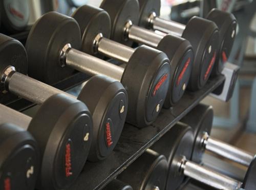 a row of black dumbbells in a gym at Mughal Suites in Ras al Khaimah