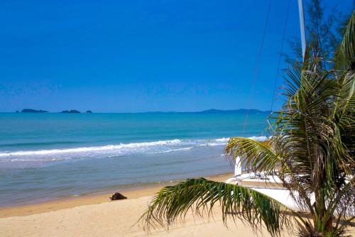 a beach with a palm tree and the ocean at Natural Villas -Front Samet Beach house with Pool in Rayong