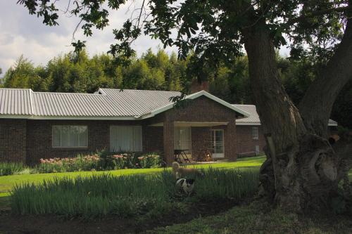 a brick house with a dog in front of it at The Old Mushroom Farm in Howick