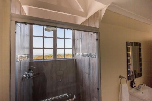 La salle de bains est pourvue d'une douche et d'une fenêtre. dans l'établissement Oliver's Bed and Breakfast, à Mtunzini