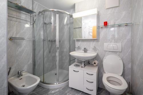 ein Bad mit einer Dusche, einem WC und einem Waschbecken in der Unterkunft Casa La Prada in Flims