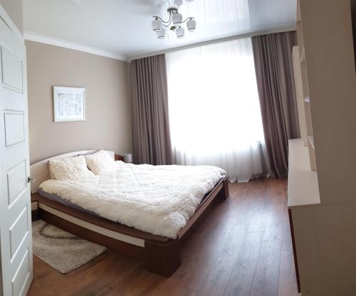 um quarto com uma cama e uma grande janela em Slovac House with a garden and fireplace em Chisinau