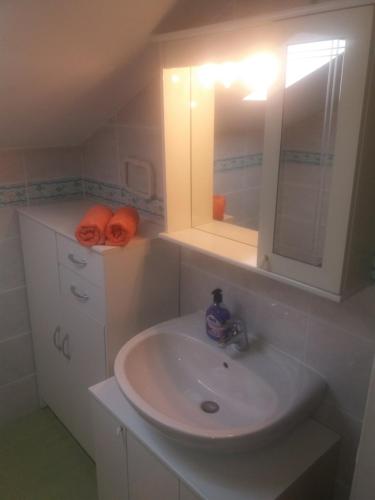 a bathroom with a sink and a mirror at Villa Palfi in Jezera
