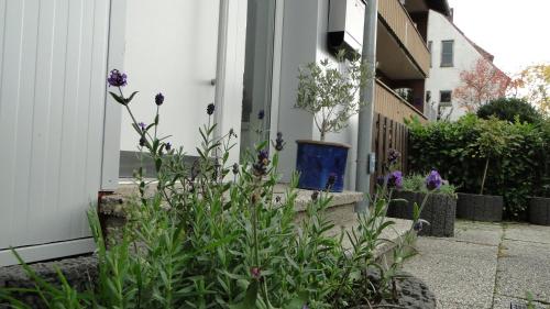 a garden with purple flowers next to a building at Ferienhaus Paschke Möhnesee Zentrum in Möhnesee