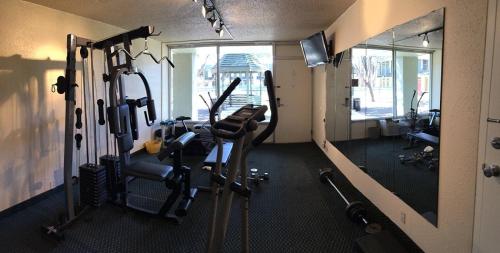 Whitten Inn University – Photos 3