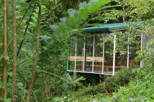 a tree house in the middle of the forest at Sinharaja Kurulu Ella Eco Resort in Deniyaya