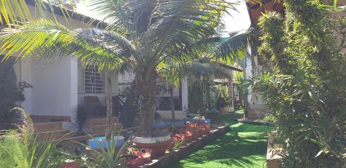 a garden with palm trees and plants in front of a house at Phú Vy Bungalow Phú Quốc in Phú Quốc