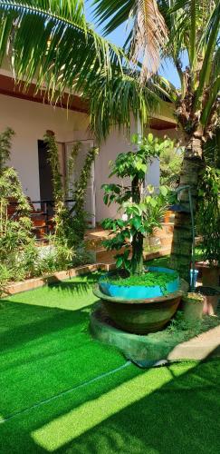 a garden with a large bowl with a tree in it at Phú Vy Bungalow Phú Quốc in Phú Quốc