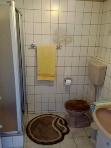 a bathroom with a toilet and a rug on the floor at Loibl Max in Bad Griesbach