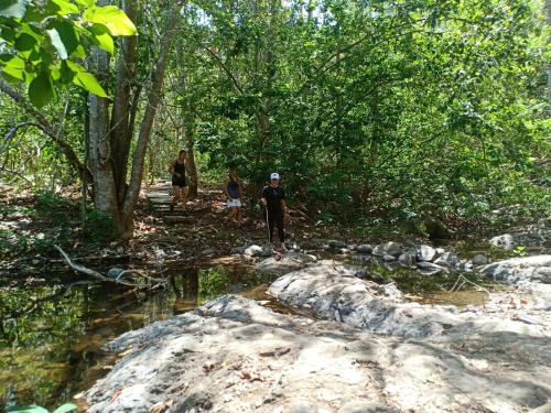 a group of people walking on a path in a forest at Java Turtle Lodge Meru Betiri in Banyuwangi