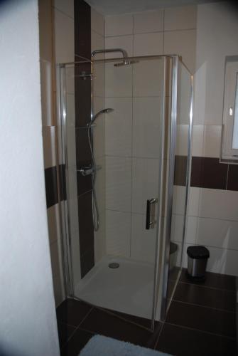 a shower with a glass door in a bathroom at Weinberg-Panoramaferienhaus in Kitzeck im Sausal