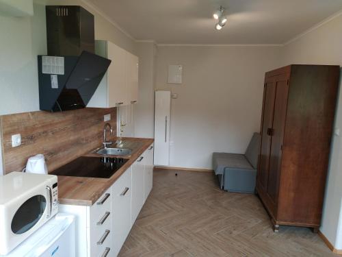 Kuchyň nebo kuchyňský kout v ubytování Apartmaji Maln
