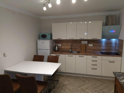 Kuchyň nebo kuchyňský kout v ubytování Apartmaji Maln