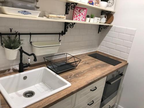 kuchnia ze zlewem i blatem w obiekcie Margaréta Apartman w mieście Pecz