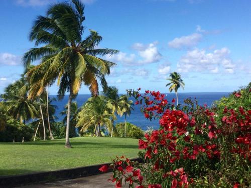 a park with palm trees and flowers and the ocean at Garden Bungalow in Sauteurs