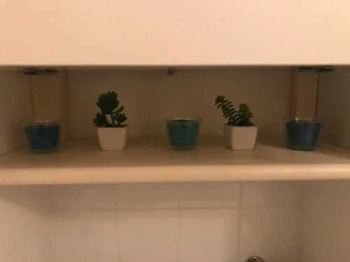 four potted plants sitting on a shelf in a bathroom at La Torretta di Gigi - soggiorno in torre medievale in Bisceglie