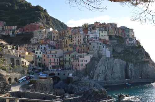 a group of houses on a cliff next to the water at Cà de Angelo in Manarola