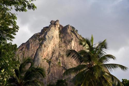 a mountain with palm trees in front of it at Diga vista resorts in Palakkad