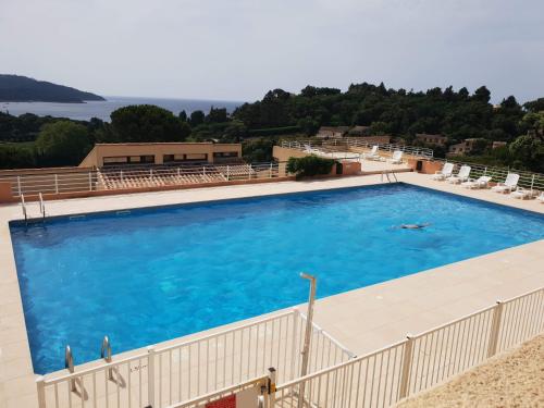 uma grande piscina com água azul em Les terrasses de Sylvabelle em La Croix-Valmer