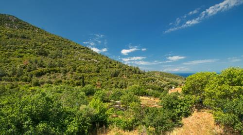 Gallery image of CHEZ KONSTANTINOS in Kallirákhi