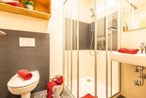 W łazience znajduje się prysznic, toaleta i umywalka. w obiekcie Anderlbauer w mieście Dorfgastein