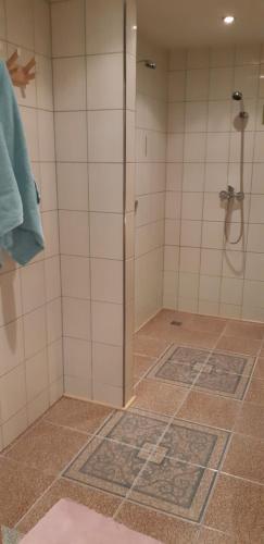 um chuveiro com uma porta de vidro na casa de banho em Лора em Lapmezciems