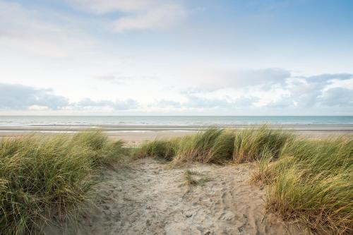 a sandy beach with tall grass and the ocean at Parkhotel in De Panne