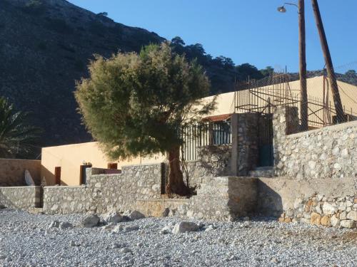 a tree in front of a stone wall at Villa Zeus in Symi