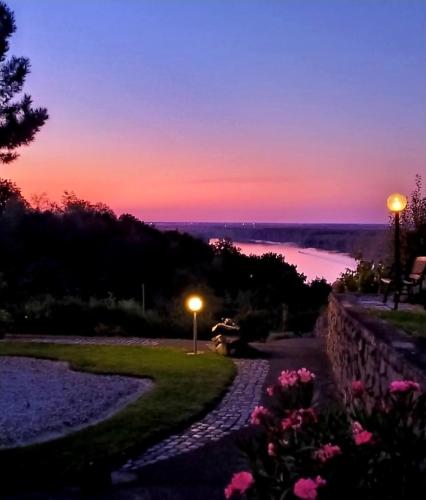 Zeleni horizont – Photos 5