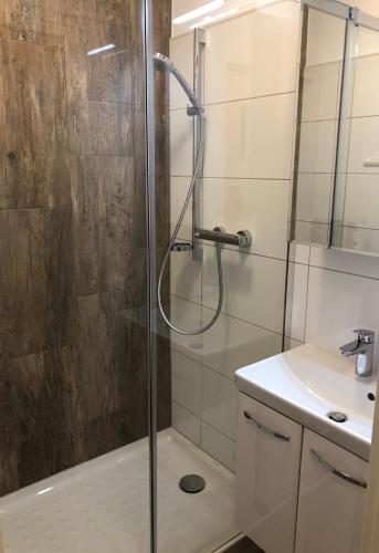 a shower with a glass door in a bathroom at Mitten in Braunlage mit tollem Ausblick in Braunlage