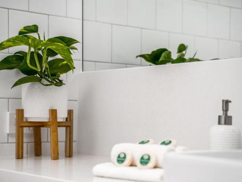 a bathroom with a plant and towels on a counter at Calinda Sol 10 in Byron Bay