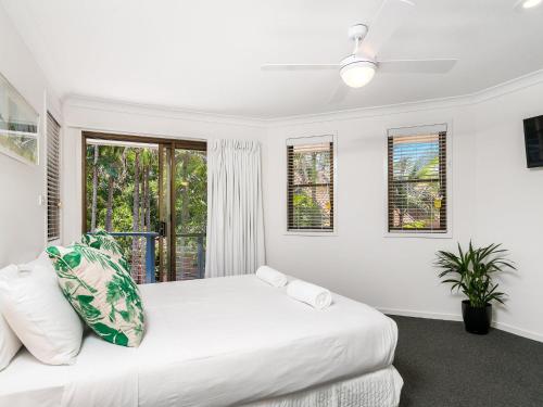 a white bedroom with a bed and windows at Calinda Sol 10 in Byron Bay