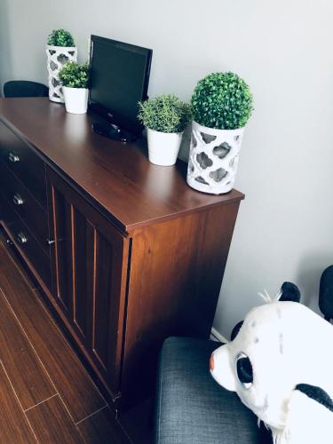 a desk with potted plants on top of it at Splendid Mountain View Condo with Pool & BBQ- Ski, MTB, Cycling, Golf, Telework! in Bromont