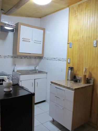 a kitchen with a sink and a counter top at Cabañas Lemupewen Chillán 1 Factura in Chillán