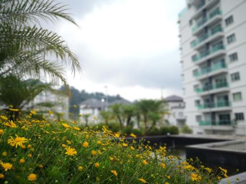 Jardín al aire libre en My Cool Home x The Quintet @ Cameron Highlands