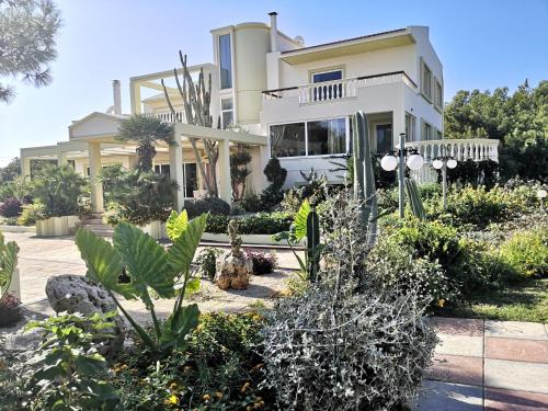 Louis Luxury Villa by living in blue