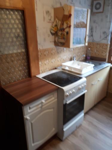 una cocina con estufa y fregadero en Ferienwohnung Kupfer, en Schmiedefeld am Rennsteig