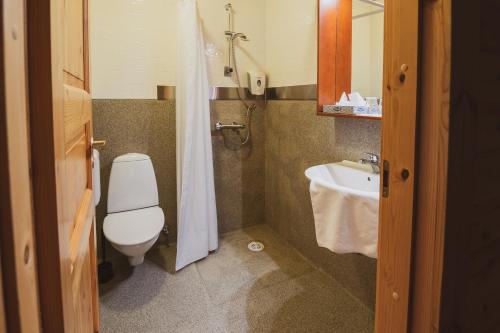 a small bathroom with a toilet and a sink at Hotel Framtid in Djúpivogur