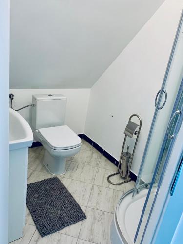 a bathroom with a toilet and a sink and a shower at Parkowy Kudowa in Kudowa-Zdrój