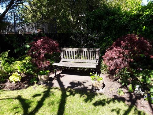 a wooden bench sitting in a garden with plants at No. 6 Heathcote in Taupo