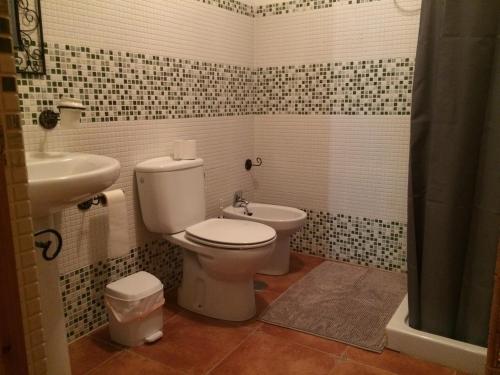 a bathroom with a toilet and a sink at Cuevas Al Sol in Castilléjar