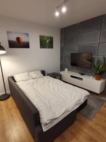 a bedroom with a large bed and a flat screen tv at Nałęczowski Horyzont in Nałęczów