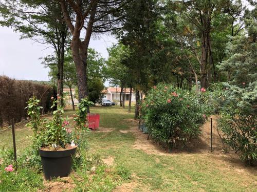 Κήπος έξω από το Gîte Mon Paradis
