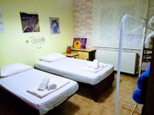 2 camas individuais num quarto com um chuveiro em Iliahtida em Chalkida