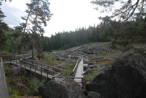 a wooden bridge over a river in a forest at Holiday home Hammarstrand 4 persons in Hammarstrand