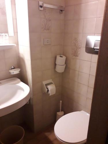a small bathroom with a toilet and a sink at Hotel Villa Emilia in Ortisei