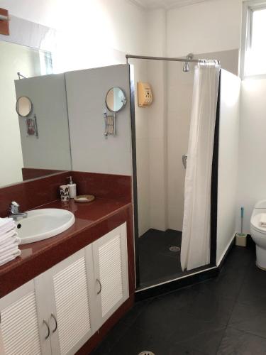 a bathroom with a shower and a sink and a toilet at Argonauta Boracay Apartment Suites and Villas in Boracay